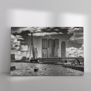 Skyline van Rotterdam gezien vanaf het Leuvehoofd