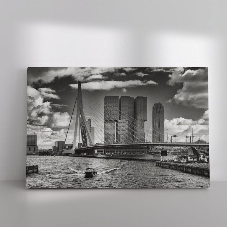 Skyline van Rotterdam gezien vanaf het Leuvehoofd