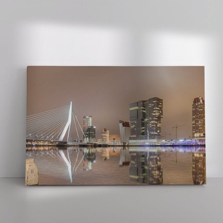 Skyline van Rotterdam in de nacht
