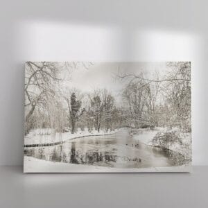Winter in Park Buitenoord